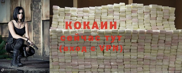 прущие крисы Каменка